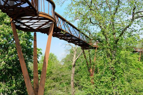 Treetop walkway Kew Gardens